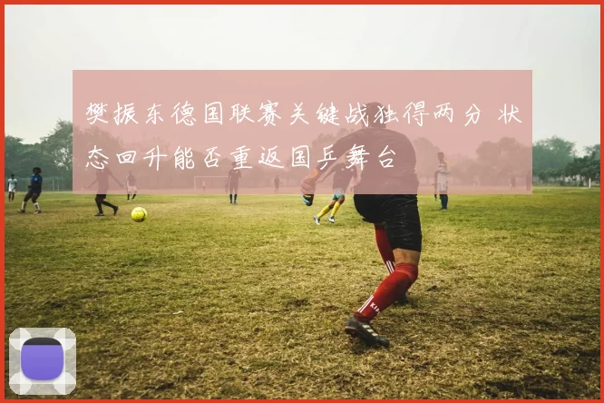 樊振东德国联赛关键战独得两分 状态回升能否重返国乒舞台