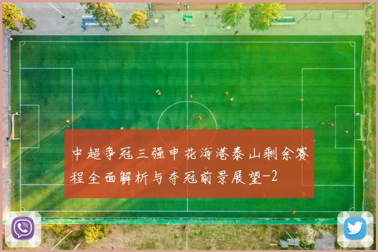 中超争冠三强申花海港泰山剩余赛程全面解析与夺冠前景展望