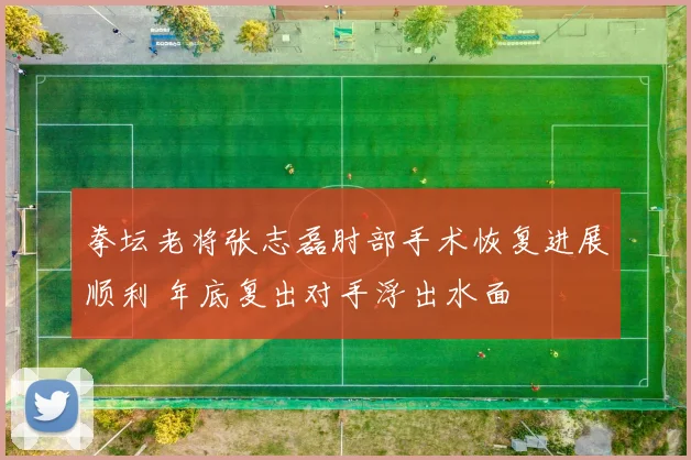 拳坛老将张志磊肘部手术恢复进展顺利 年底复出对手浮出水面