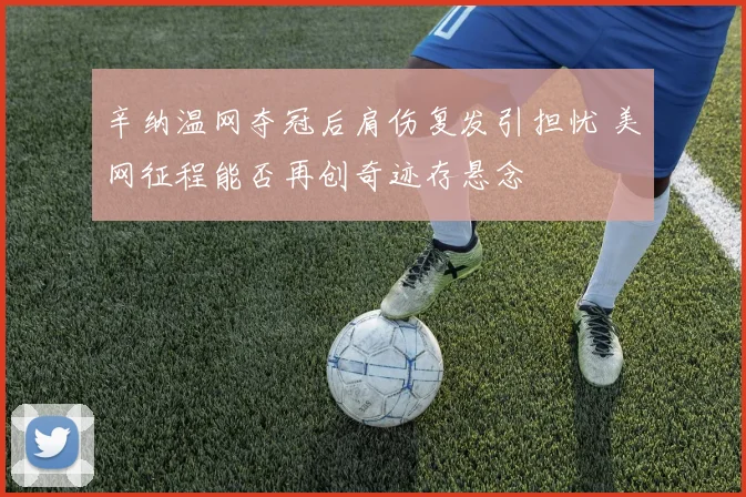 辛纳温网夺冠后肩伤复发引担忧 美网征程能否再创奇迹存悬念